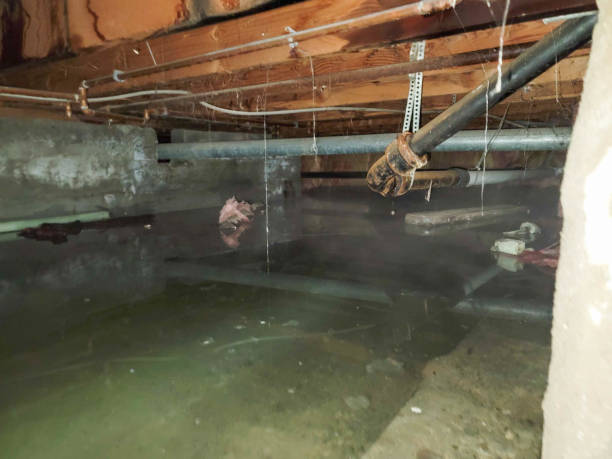 Best Water damage cleanup near me  in Graniteville, SC