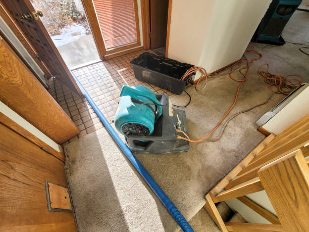 Best Flood damage cleanup  in Graniteville, SC