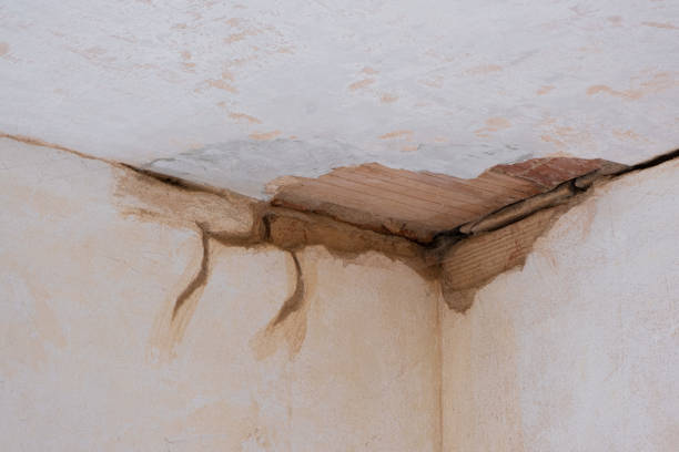 Best Water damage restoration near me  in Graniteville, SC