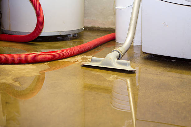 Best Carpet water damage restoration  in Graniteville, SC