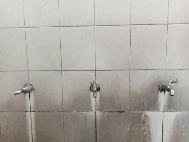 Best Flooded house restoration  in Graniteville, SC