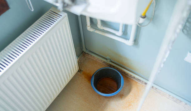 Best Mold removal after water damage  in Graniteville, SC