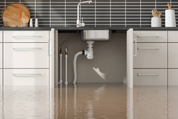 Best Flood restoration services  in Graniteville, SC
